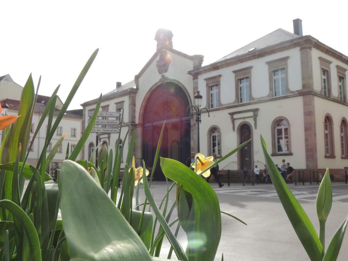 Appart'Azur Haguenau - Centre Grand'Rue - Logements Entiers Pour Voyageur Pro Exterior photo